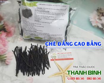 Mua bán chè đắng Cao Bằng tại huyện Thanh Trì kháng ung thư hiệu quả cao