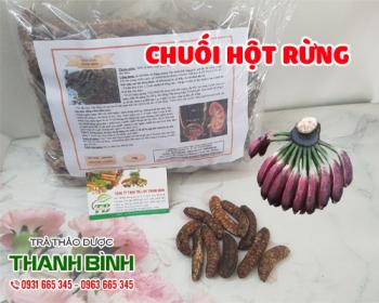 Địa điểm bán chuối hột rừng tại Hà Nội chữa viêm loét dạ dày tốt nhất