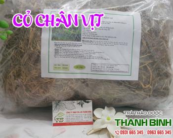 Mua bán cỏ chân vịt ở quận Phú Nhuận sử dụng giúp bổ máu