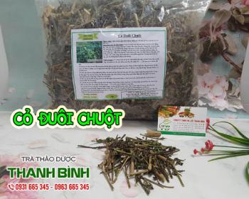 Mua bán cỏ đuôi chuột tại huyện Mê Linh giúp cải thiện sức khỏe và lợi tiểu