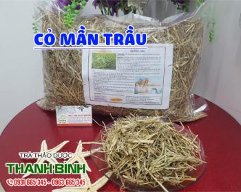 Địa điểm bán cỏ mần trầu tại Hà Nội chữa mụn nhọt và viêm gan tốt nhất