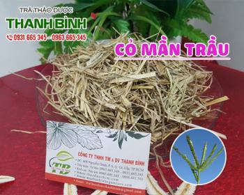 Mua bán cỏ mần trầu tại quận Hoàn Kiếm giúp chăm sóc tóc và da đầu