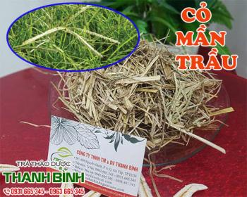 Mua bán cỏ mần trầu ở quận Tân Phú trị sỏi thận và sỏi đường tiết niệu