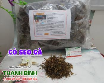 Mua bán cỏ seo gà tại huyện Ứng Hòa có công dụng điều trị viêm họng