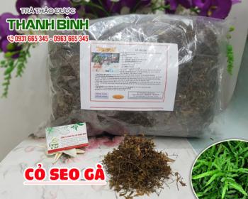 Mua bán cỏ seo gà tại huyện Sóc Sơn sử dụng điều trị đi ngoài ra máu