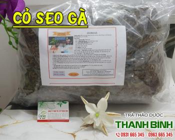 Mua bán cỏ seo gà ở quận Phú Nhuận hỗ trợ điều trị bệnh trĩ