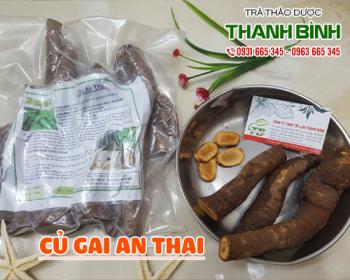 Mua bán củ gai an thai tại Hà Nội uy tín chất lượng nhất