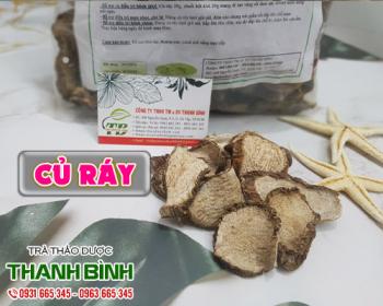 Mua bán củ ráy tại quận Thanh Xuân cải thiện đau nhức do bệnh gout