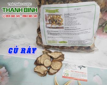 Mua bán củ ráy tại huyện Ứng Hòa giúp điều trị đau nhức mỏi xương