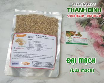 Mua bán đại mạch tại huyện Thanh Trì giúp bổ sung các chất dinh dưỡng
