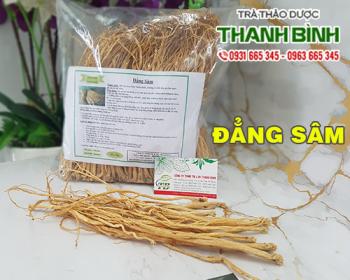 Mua bán đẳng sâm tại Bình Thuận giúp điều hòa khí huyết an toàn nhất