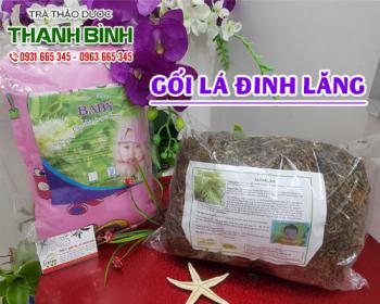 Địa điểm bán gối lá đinh lăng tại Hà Nội giúp giảm đau nhức mỏi cổ tốt nhất