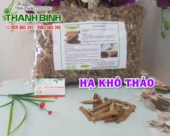 Mua bán hạ khô thảo tại huyện Thường Tín hỗ trợ trị cao huyết áp tốt nhất