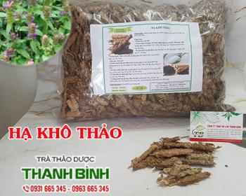 Mua bán hạ khô thảo tại Bình Định giúp điều trị lao hạch hiệu quả nhất
