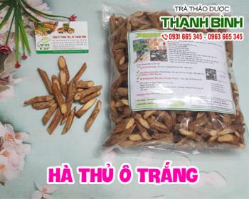 Mua bán hà thủ ô trắng ở quận Phú Nhuận giúp điều trị ho gà và sốt rét