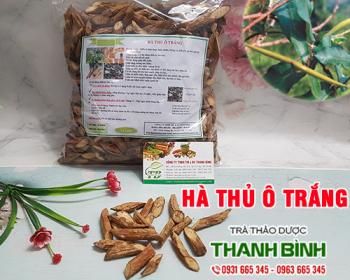 Mua bán hà thủ ô trắng tại huyện Thanh Trì giúp điều trị ho gà rất tốt