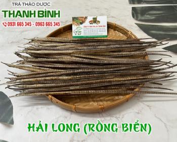 Mua bán hải long tại huyện Sóc Sơn giúp điều trị sưng hạch an toàn nhất