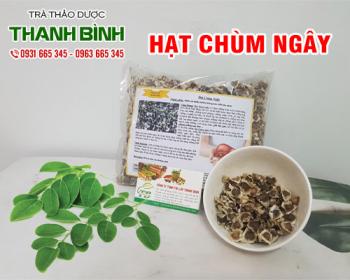 Mua bán hạt chùm ngây ở quận Phú Nhuận giúp ngăn ngừa thiếu máu rất tốt