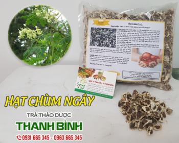 Mua bán hạt chùm ngây tại huyện Thanh Trì giúp giảm đau nhức xương khớp