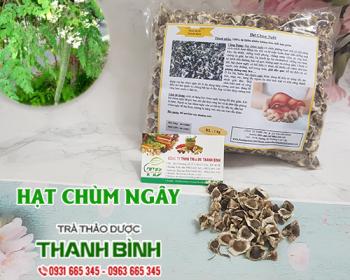 Mua bán hạt chùm ngây tại Bình Thuận giúp giảm chứng nóng trong rất tốt