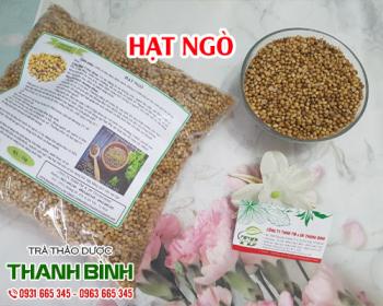 Mua bán hạt ngò ở huyện Bình Chánh chữa ăn khó tiêu và bụng đầy