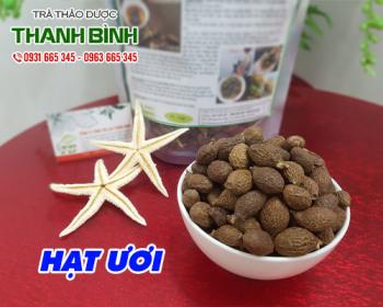 Mua bán hạt ươi tại quận Thanh Xuân có tác dụng chữa táo bón 