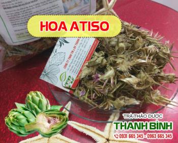 Mua bán hoa atiso tại huyện Thanh Trì giảm lượng cholesterol có hại