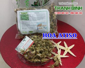 Địa điểm bán hoa atiso tại Hà Nội điều trị bệnh tiểu đường tốt nhất