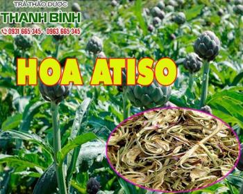 Mua bán hoa atiso ở quận Tân Bình làm giảm lượng cholesterol có hại