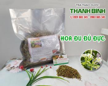 Mua bán hoa đu đủ đực tại quận Thanh Xuân hỗ trợ điều hòa đường huyết 