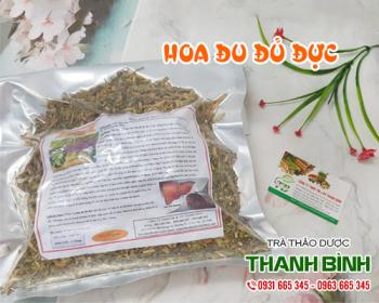 Địa chỉ bán hoa đu đủ đực trong điều trị huyết áp cao tại Hà Nội uy tín nhất