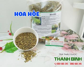 Mua bán hoa hòe tại huyện Thanh Trì giảm tình trạng nổi mụn nhọt