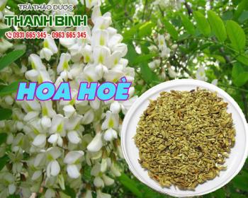 Mua bán hoa hoè ở quận Tân Phú có công dụng giảm đau hiệu quả