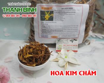 Mua bán hoa kim châm tại quận Hoàn Kiếm giúp mát gan và giải độc gan