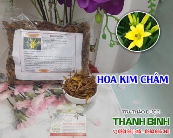 Mua bán hoa kim châm tại huyện Ứng Hòa có tác dụng giúp điều trị bí tiểu 