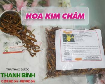 Mua bán hoa kim châm ở quận Bình Tân hỗ trợ chữa viêm tai giữa