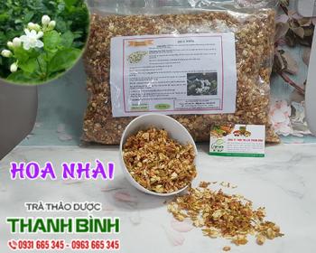 Mua bán hoa nhài tại Bình Thuận giúp tăng cường lợi khuẩn đường ruột