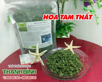 Mua bán hoa tam thất tại huyện Sóc Sơn dùng giúp thanh nhiệt cơ thể