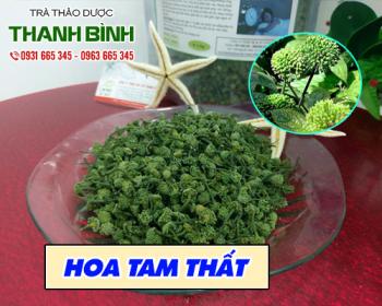 Địa điểm bán hoa tam thất tại Hà Nội ngăn ngừa bệnh tim mạch tốt nhất