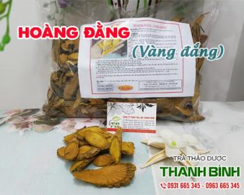 Mua bán hoàng đằng ở quận Phú Nhuận hỗ trợ kháng viêm rất tốt