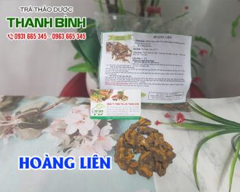 Mua bán hoàng liên ở quận Tân Phú giúp kích thích hệ tiêu hóa