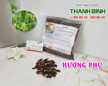 Địa điểm bán hương phụ tại Hà Nội trong điều trị rối loạn tiêu hóa tốt nhất 