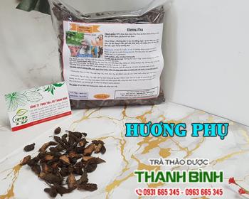 Mua bán hương phụ tại Bình Định giúp điều trị đau dạ dày uy tín nhất