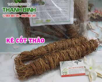 Mua bán kê cốt thảo tại huyện Thanh Trì chữa ung nhọt và hạch nổi ở cổ