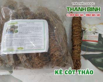 Mua bán kê cốt thảo tại huyện Thường Tín có tác dụng giúp bảo vệ lá gan 