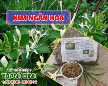 Địa điểm bán kim ngân hoa tại Hà Nội chữa mụn nhọt và mẩn ngứa tốt nhất