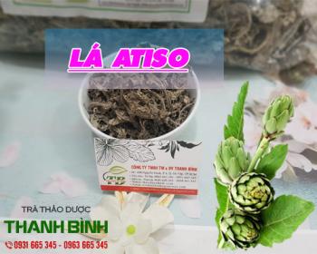 Mua bán lá atiso ở quận Tân Phú giúp mát gan và thải độc cơ thể