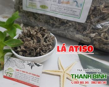 Mua bán lá atiso tại huyện Sóc Sơn cải tạo làn da và ngừa mụn rất tốt