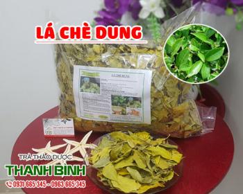 Địa điểm bán lá chè dung tại Hà Nội trong ngăn ngừa mụn nhọt tốt nhất