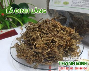 Mua bán lá đinh lăng ở quận Tân Bình có tác dụng giúp lợi tiểu 
